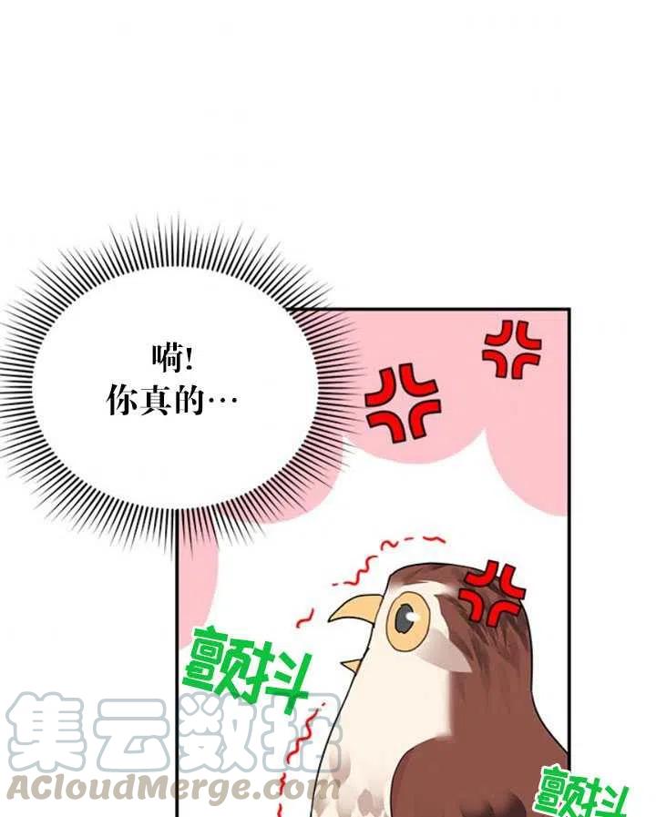 传令鸟公主韩漫全集-第22话无删减无遮挡章节图片 