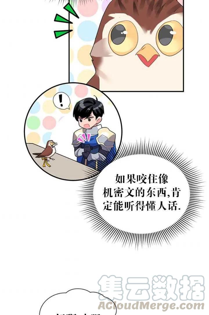 传令鸟公主韩漫全集-第22话无删减无遮挡章节图片 