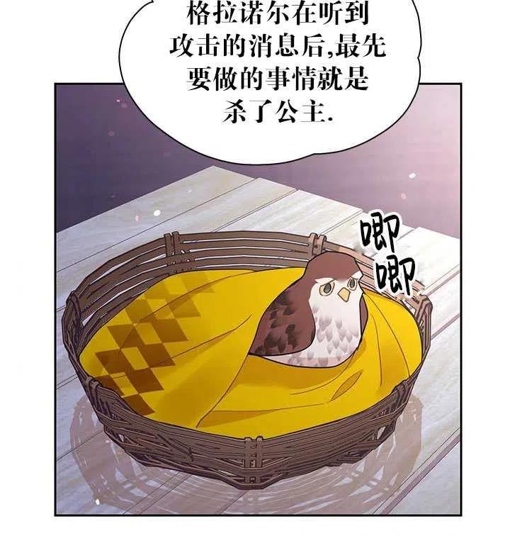 传令鸟公主韩漫全集-第28话无删减无遮挡章节图片 