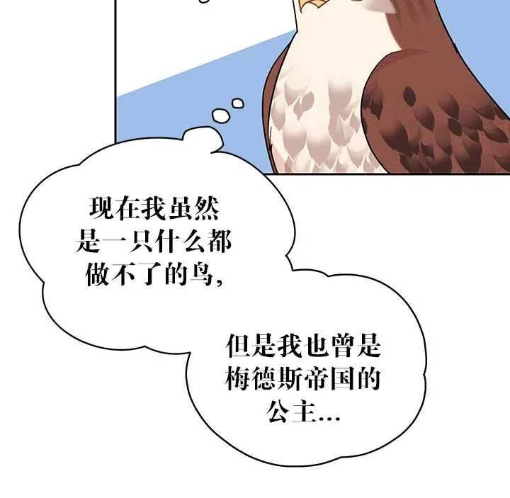 传令鸟公主韩漫全集-第28话无删减无遮挡章节图片 