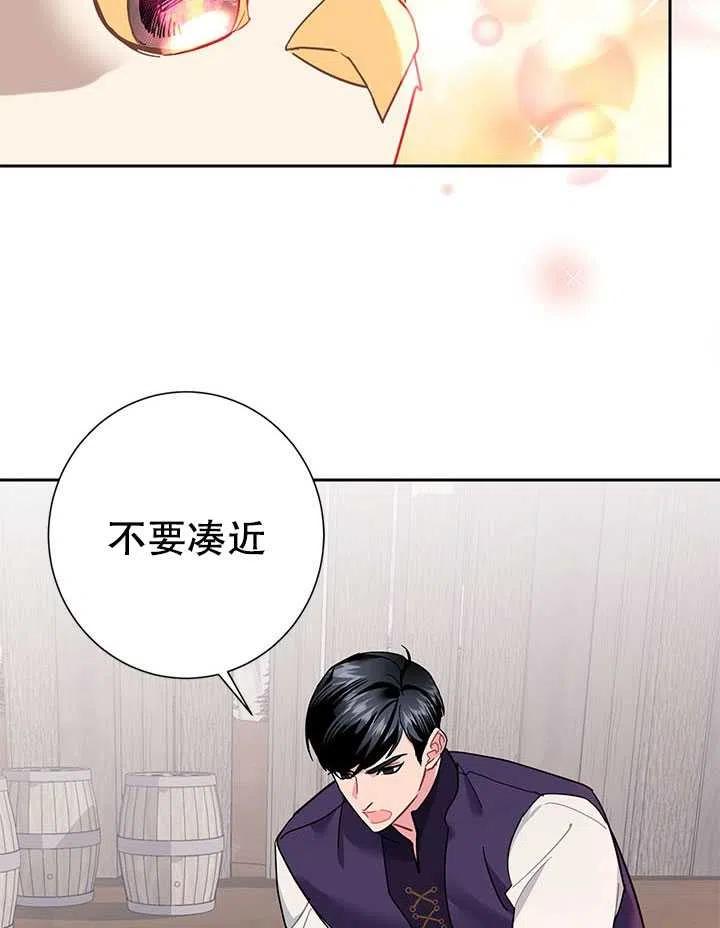 传令鸟公主韩漫全集-第31话无删减无遮挡章节图片 