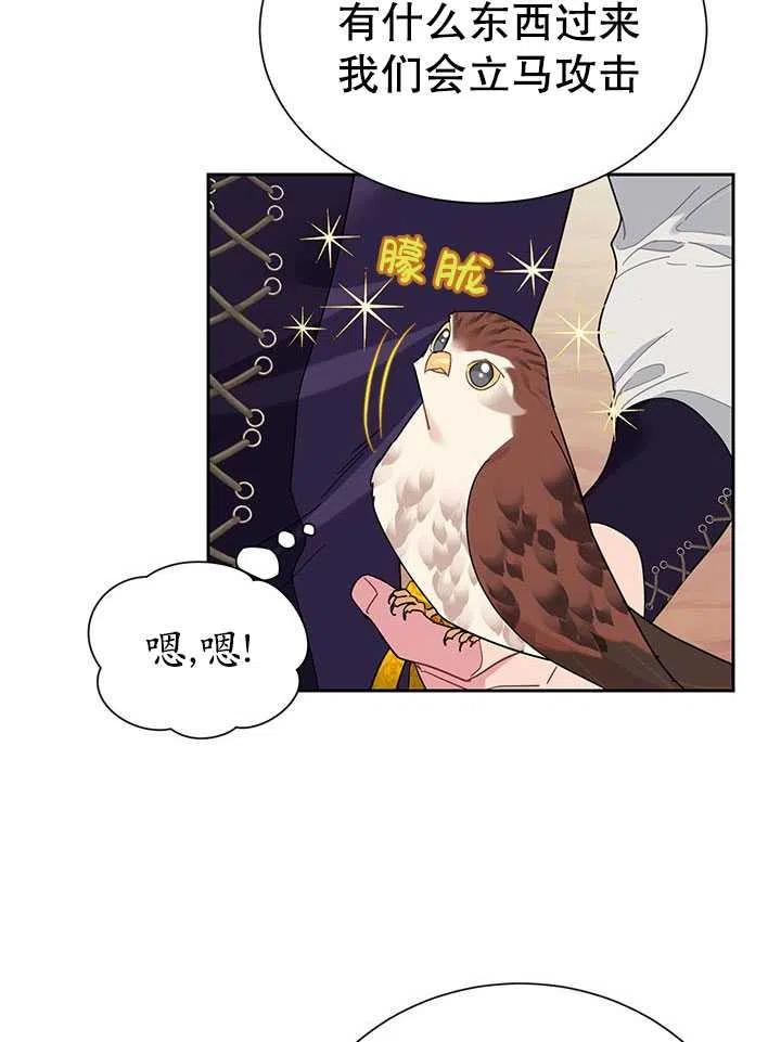 传令鸟公主韩漫全集-第31话无删减无遮挡章节图片 