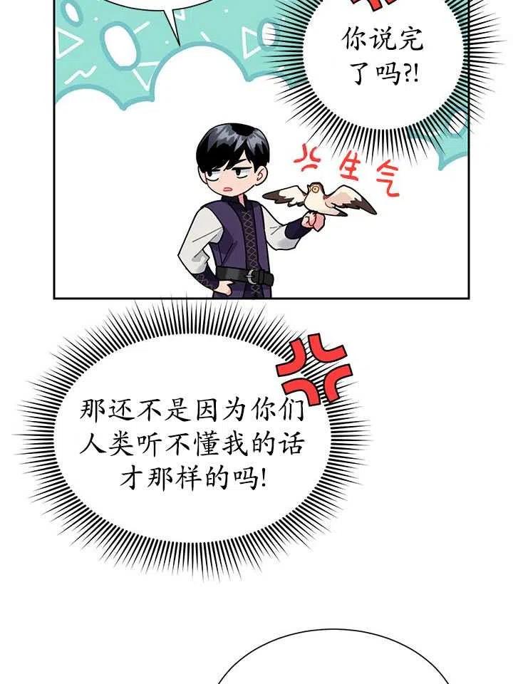 传令鸟公主韩漫全集-第31话无删减无遮挡章节图片 
