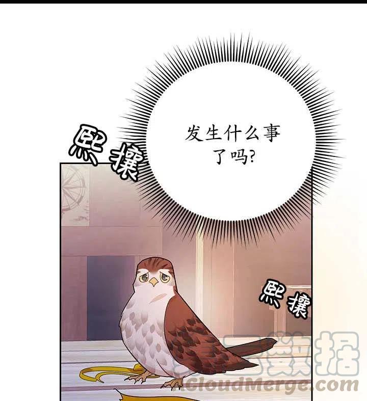 传令鸟公主韩漫全集-第33话无删减无遮挡章节图片 