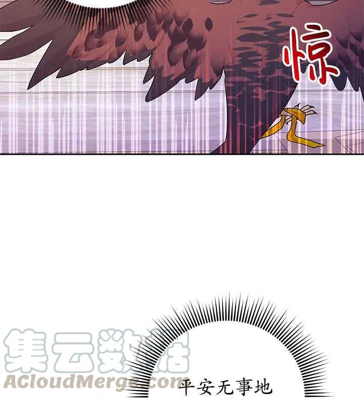 传令鸟公主韩漫全集-第33话无删减无遮挡章节图片 