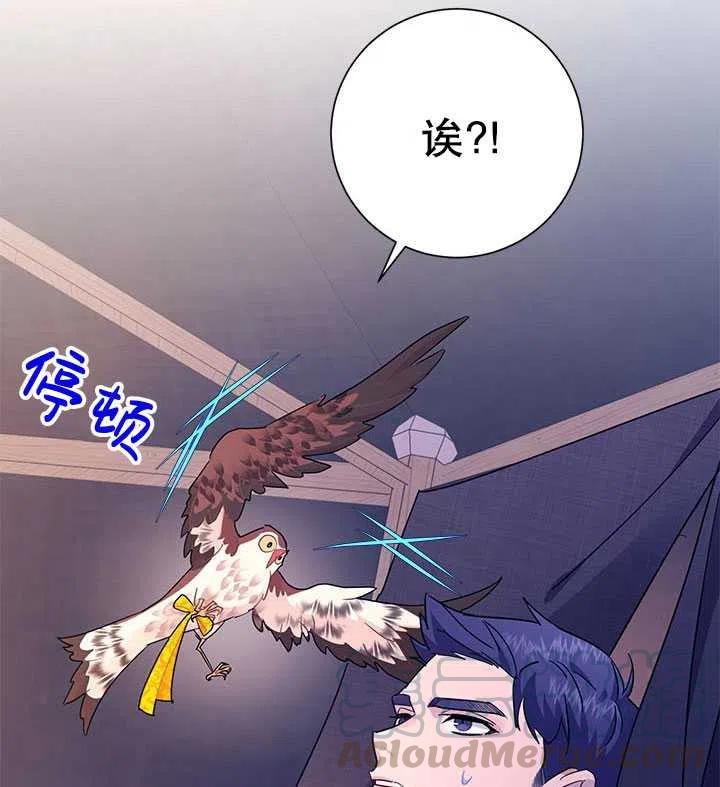 传令鸟公主韩漫全集-第33话无删减无遮挡章节图片 