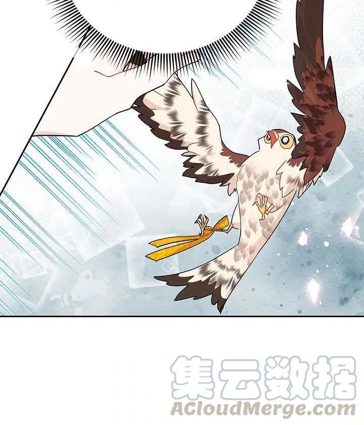 传令鸟公主韩漫全集-第33话无删减无遮挡章节图片 