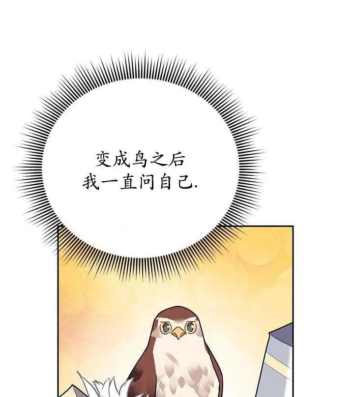 传令鸟公主韩漫全集-第34话无删减无遮挡章节图片 