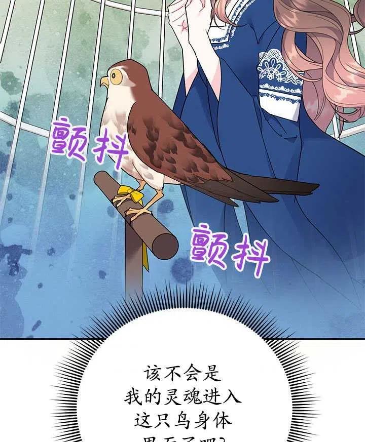 传令鸟公主韩漫全集-第35话无删减无遮挡章节图片 