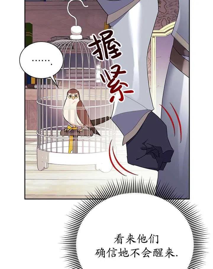 传令鸟公主韩漫全集-第35话无删减无遮挡章节图片 