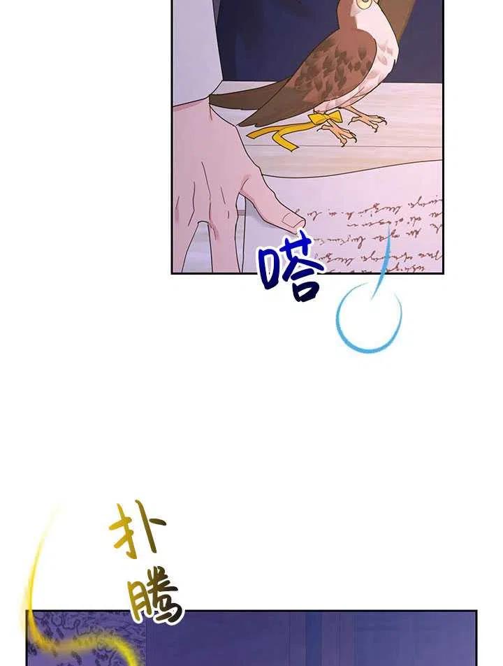 传令鸟公主韩漫全集-第36话无删减无遮挡章节图片 