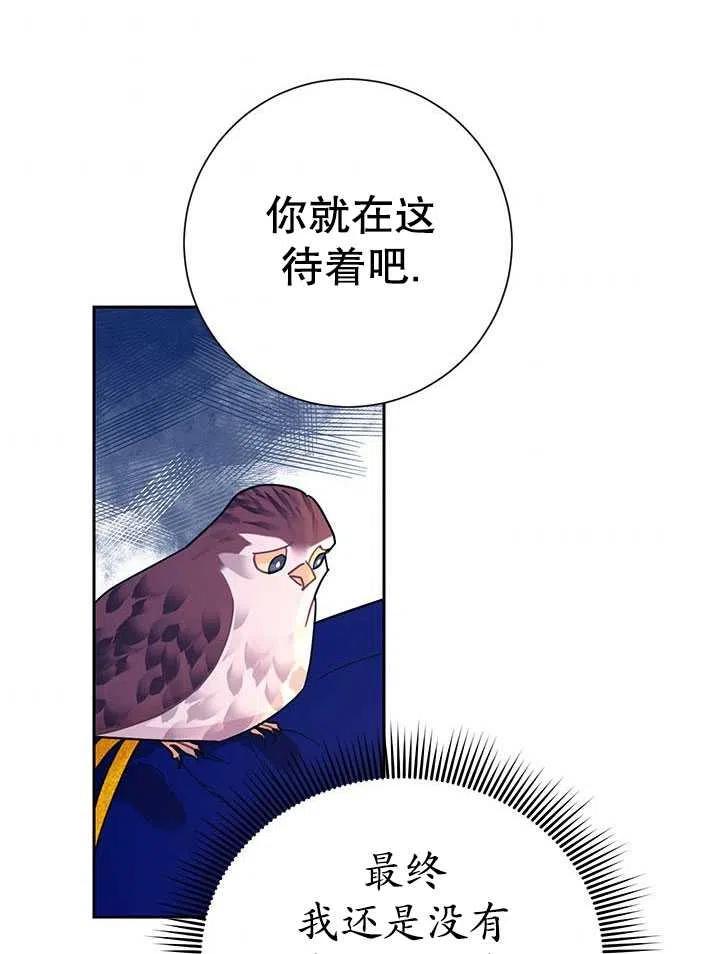 传令鸟公主韩漫全集-第36话无删减无遮挡章节图片 