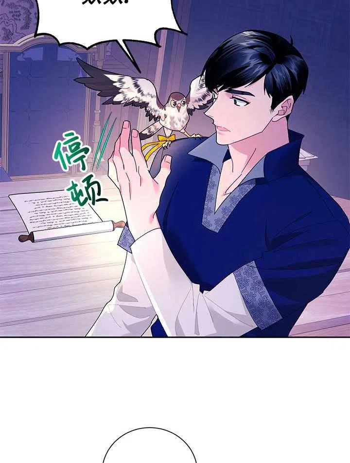 传令鸟公主韩漫全集-第36话无删减无遮挡章节图片 