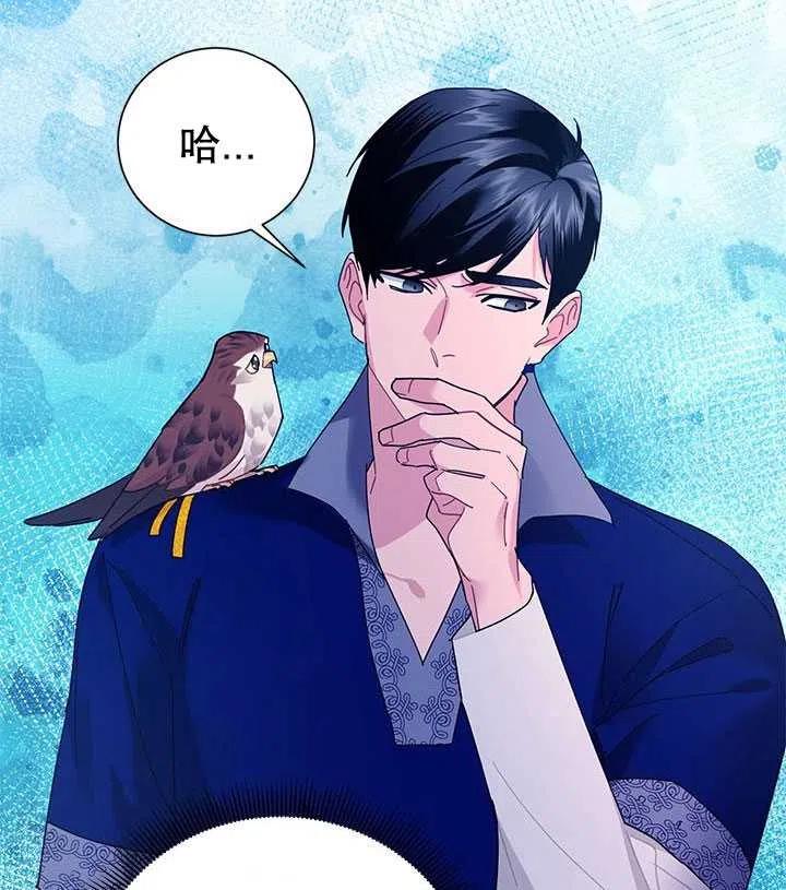 传令鸟公主韩漫全集-第36话无删减无遮挡章节图片 