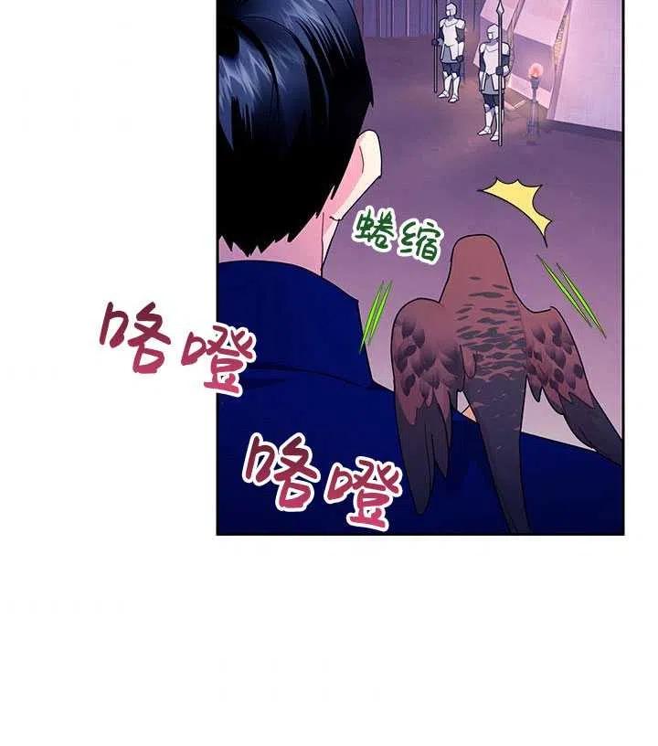 传令鸟公主韩漫全集-第36话无删减无遮挡章节图片 