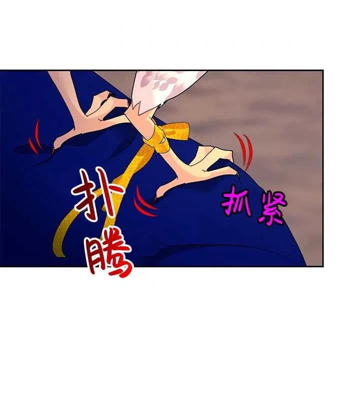 传令鸟公主韩漫全集-第36话无删减无遮挡章节图片 