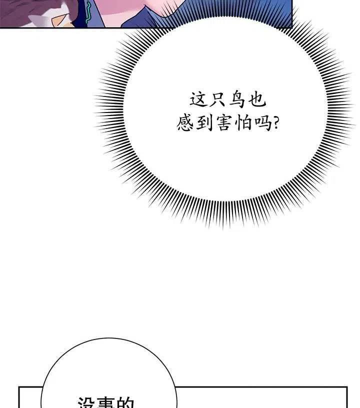 传令鸟公主韩漫全集-第36话无删减无遮挡章节图片 