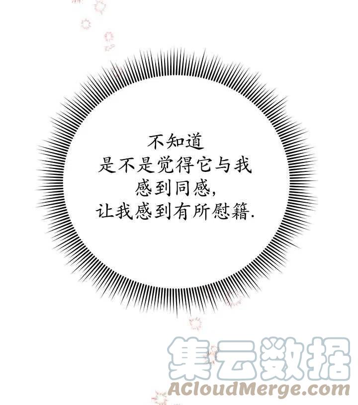 传令鸟公主韩漫全集-第36话无删减无遮挡章节图片 