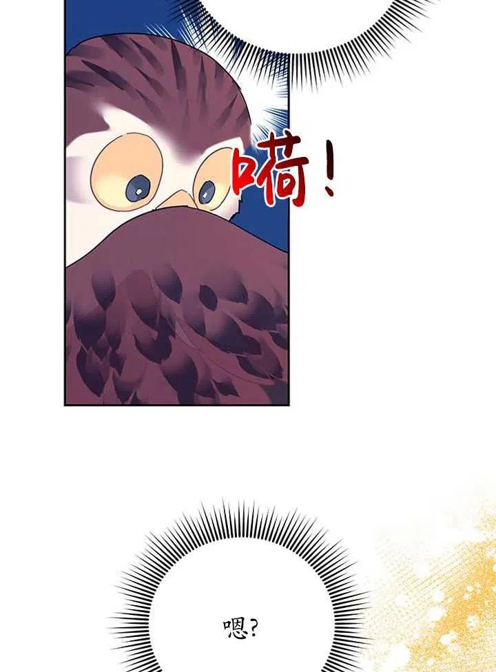 传令鸟公主韩漫全集-第39话无删减无遮挡章节图片 