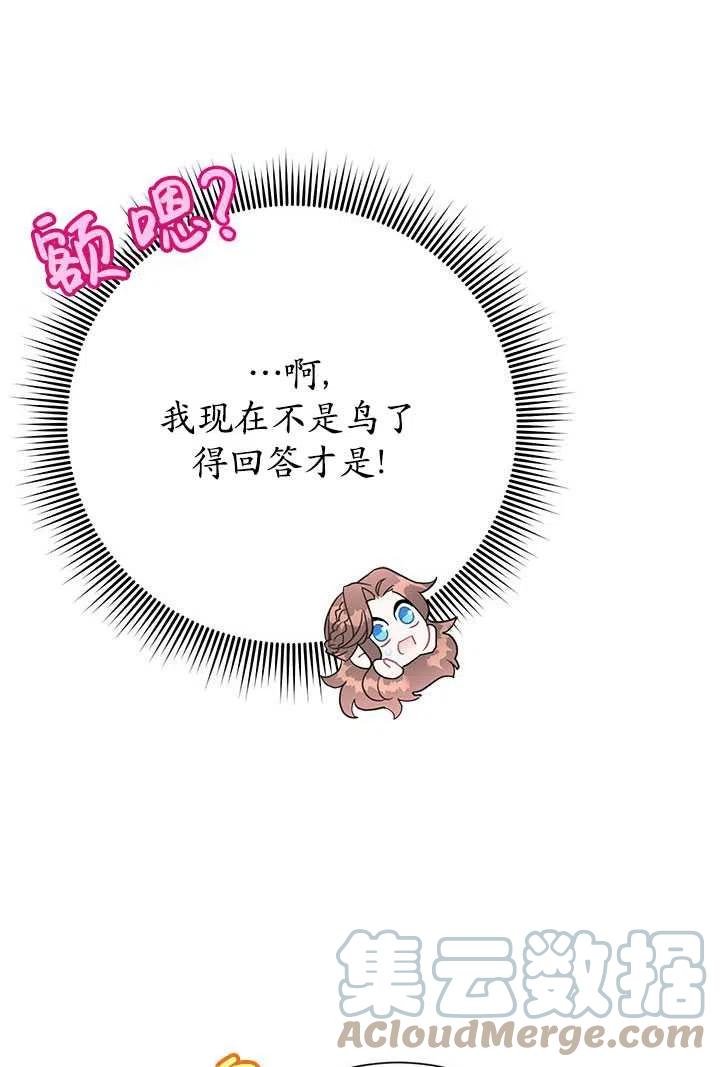 传令鸟公主韩漫全集-第41话无删减无遮挡章节图片 