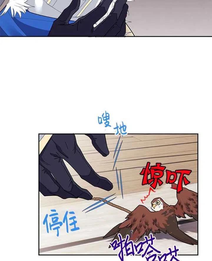 传令鸟公主韩漫全集-第09话无删减无遮挡章节图片 