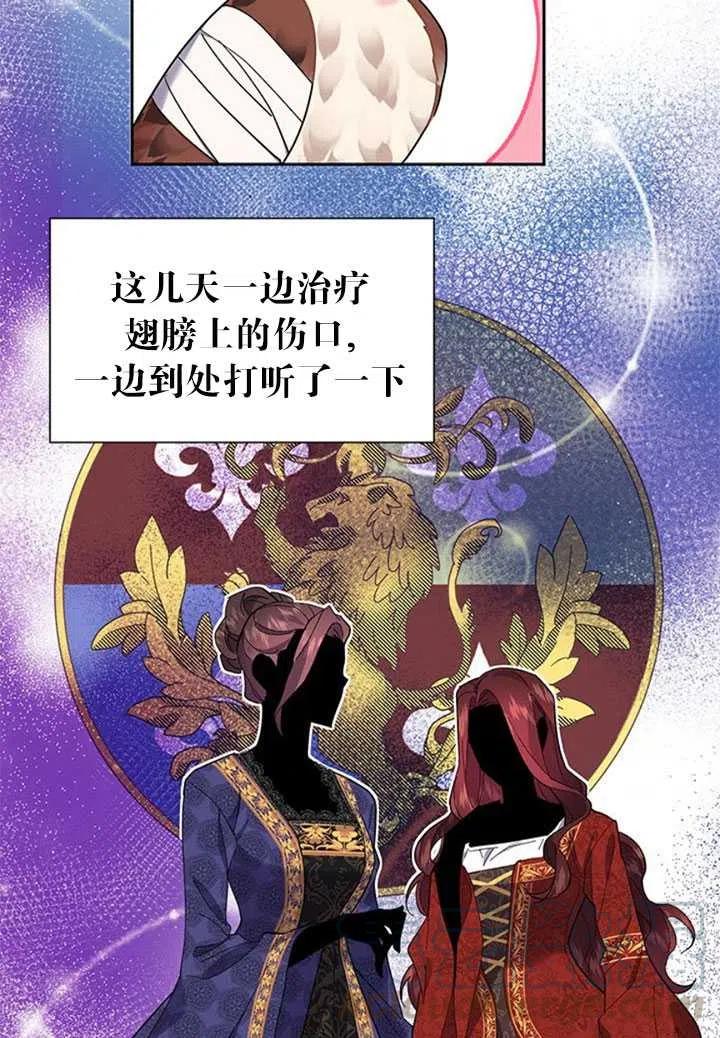 传令鸟公主韩漫全集-第09话无删减无遮挡章节图片 