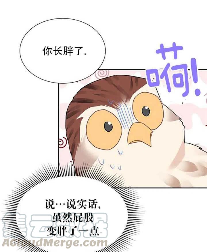 传令鸟公主韩漫全集-第10话无删减无遮挡章节图片 