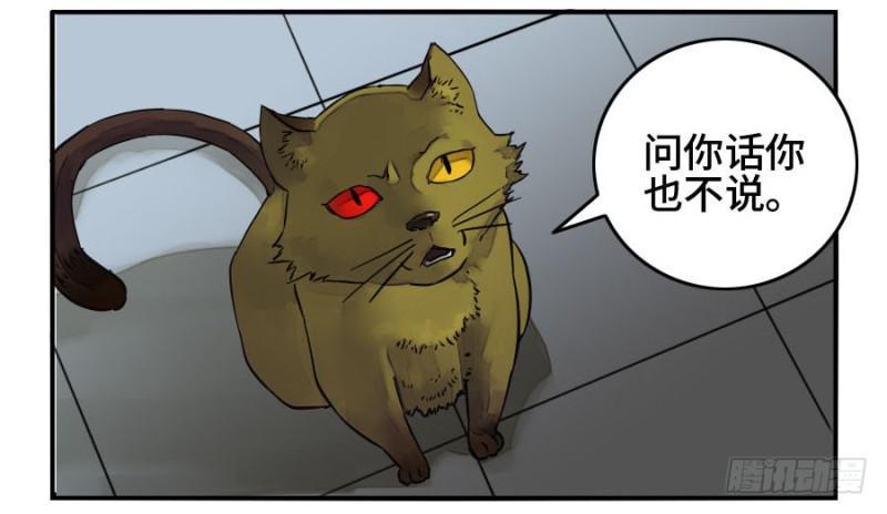 传武韩漫全集-第二卷 35 至暗无删减无遮挡章节图片 