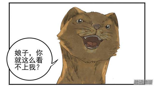 传武韩漫全集-第十九条：设伏无删减无遮挡章节图片 