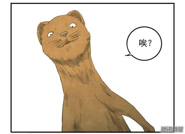 传武韩漫全集-第十九条：设伏无删减无遮挡章节图片 