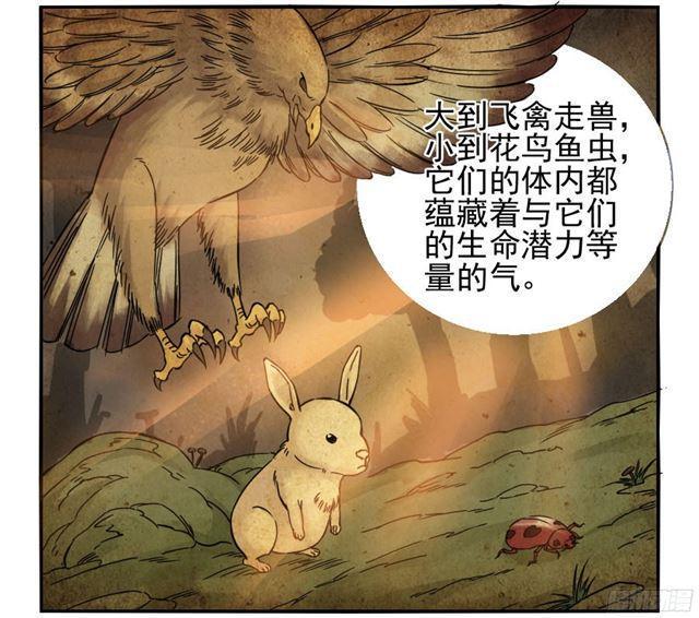 传武韩漫全集-第三十九条：内视无删减无遮挡章节图片 