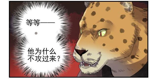 传武韩漫全集-第七十八条：强无删减无遮挡章节图片 