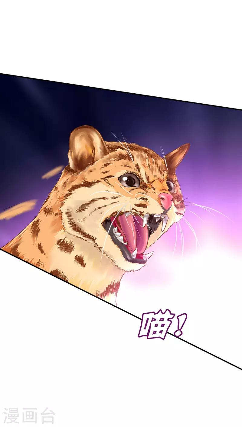 穿越王妃要升级韩漫全集-第235话 狸猫助战无删减无遮挡章节图片 