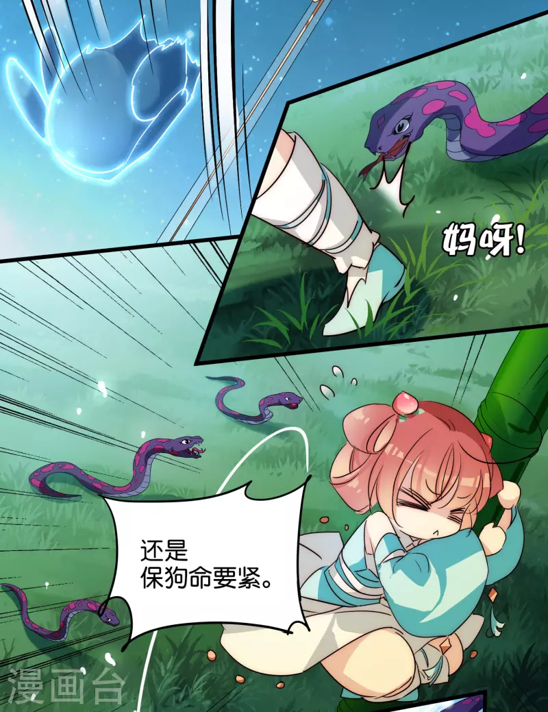 穿越公元3000后韩漫全集-外传第4话 同一片星空无删减无遮挡章节图片 