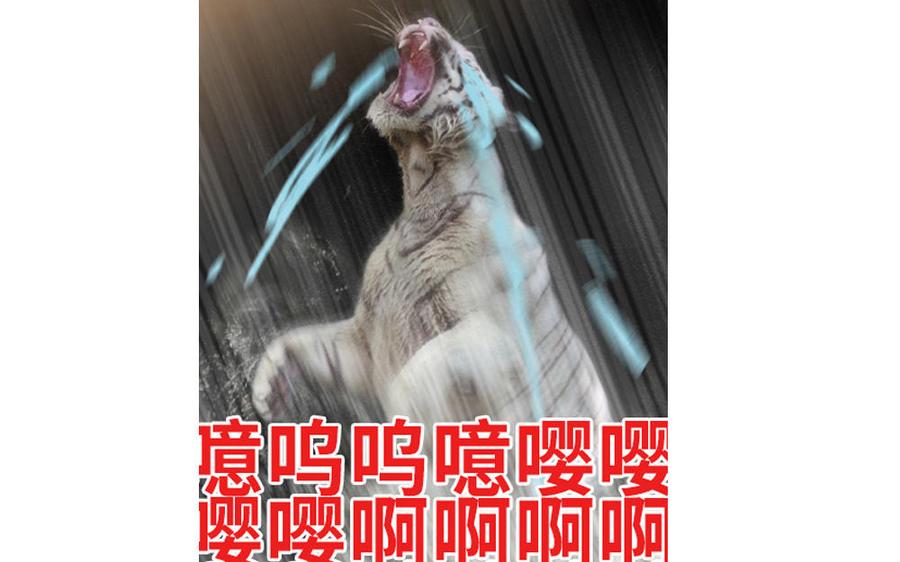 捶地三尺有神灵韩漫全集-番外：第六年的无限NG无删减无遮挡章节图片 