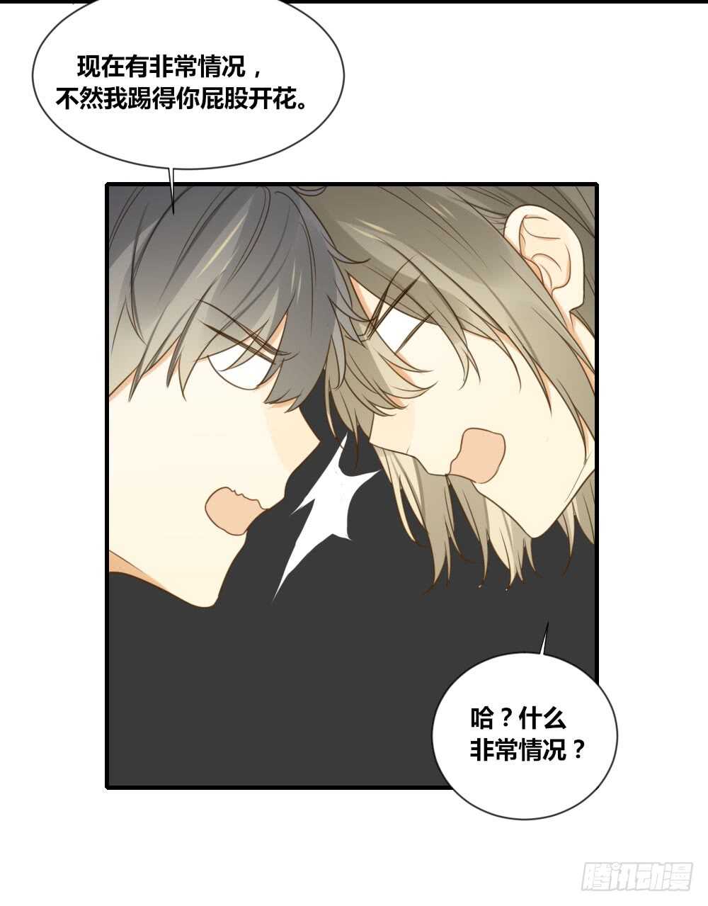 诞下龙种吧！韩漫全集-烛雨共同的敌人无删减无遮挡章节图片 