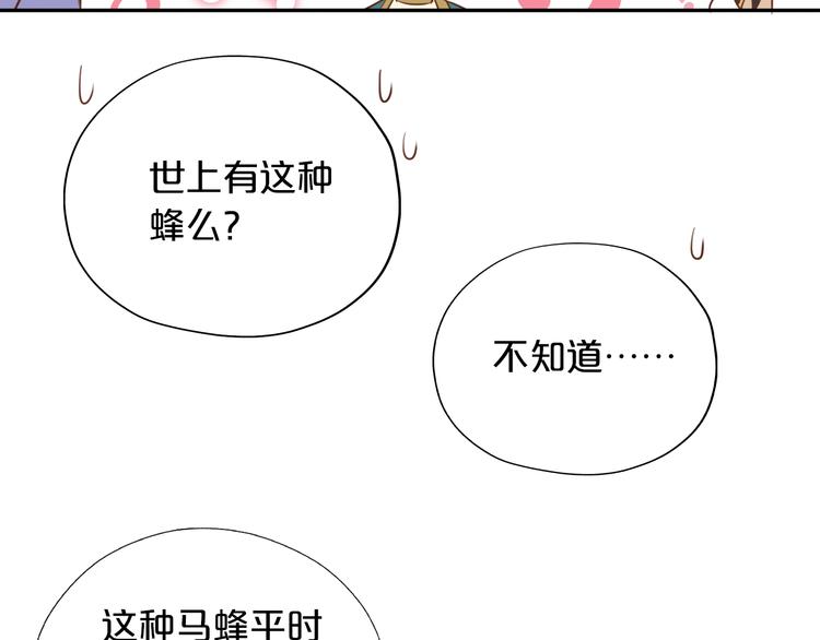 狄奥多之歌韩漫全集-第11话  笨马蜂无删减无遮挡章节图片 
