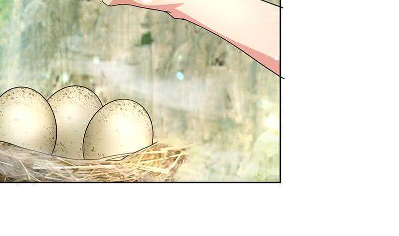 地府混江龙韩漫全集-第170话 抓住波波鸡!无删减无遮挡章节图片 