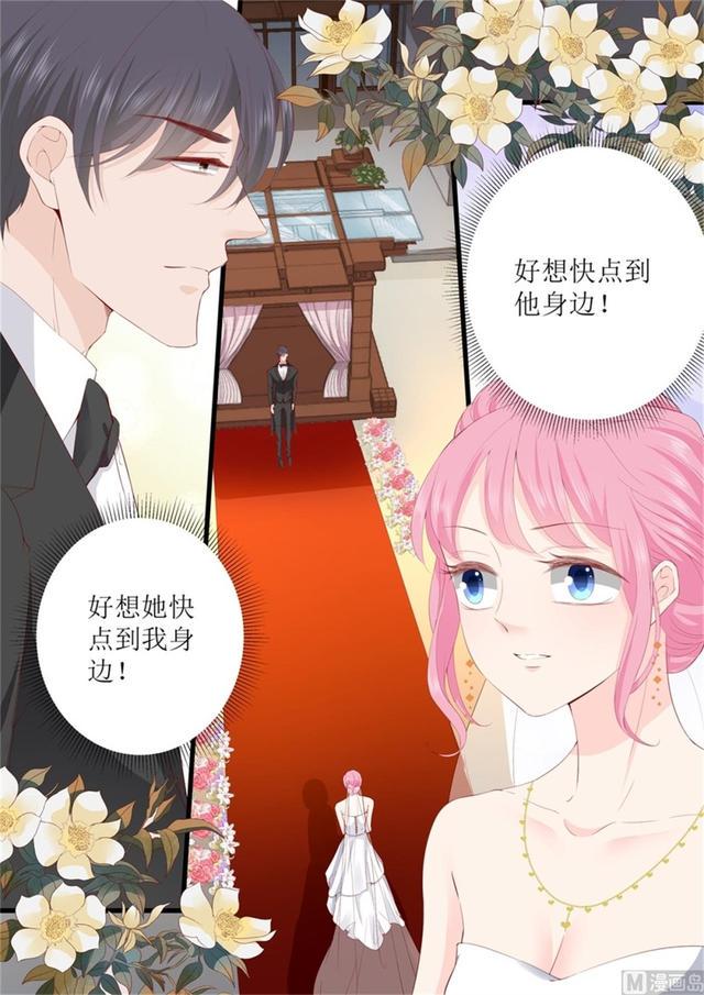 帝少别太猛韩漫全集-第332话 放下一切无删减无遮挡章节图片 