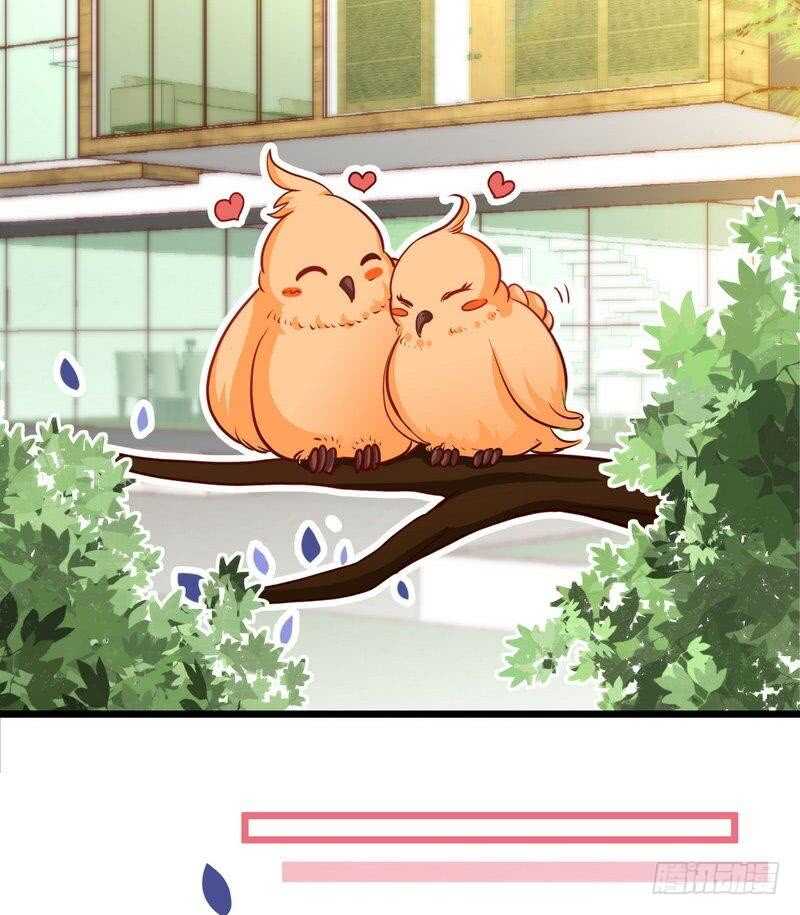 帝少专宠霸道妻韩漫全集-第206话 知错没有？无删减无遮挡章节图片 