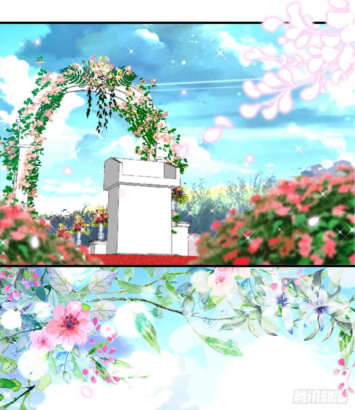 帝少专宠霸道妻韩漫全集-第256话 世纪婚礼无删减无遮挡章节图片 