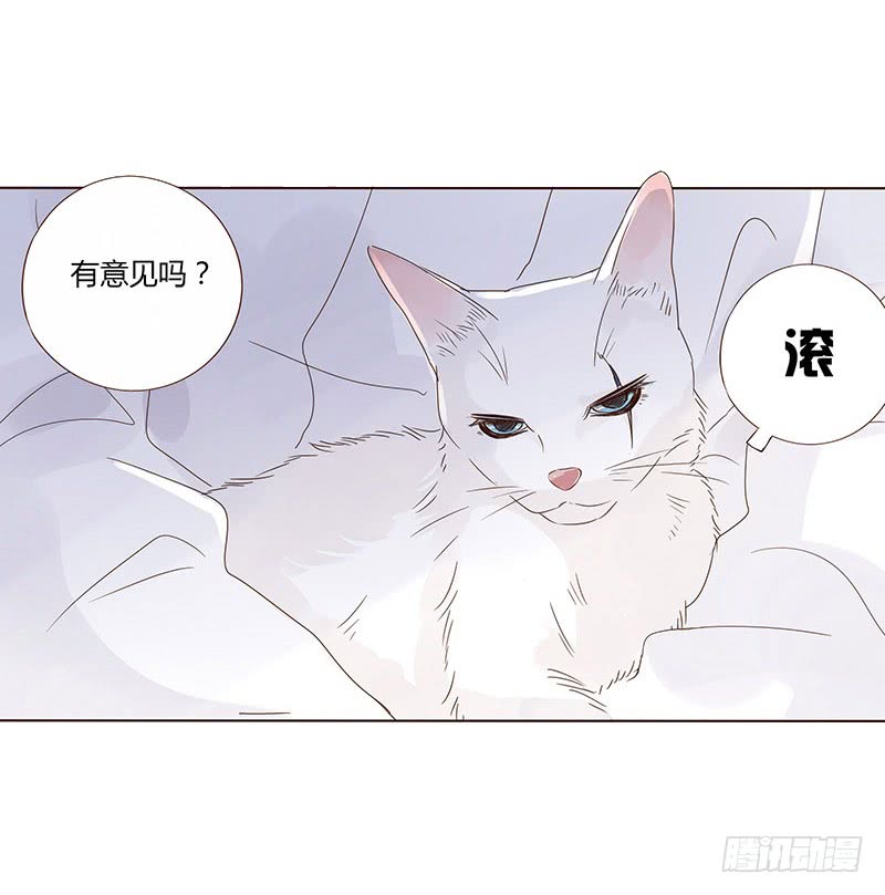 帝王侧韩漫全集-一五零章 擦身无删减无遮挡章节图片 