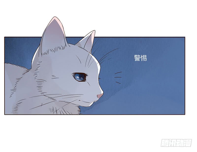 帝王侧韩漫全集-一五二章 冥琪的秘密无删减无遮挡章节图片 
