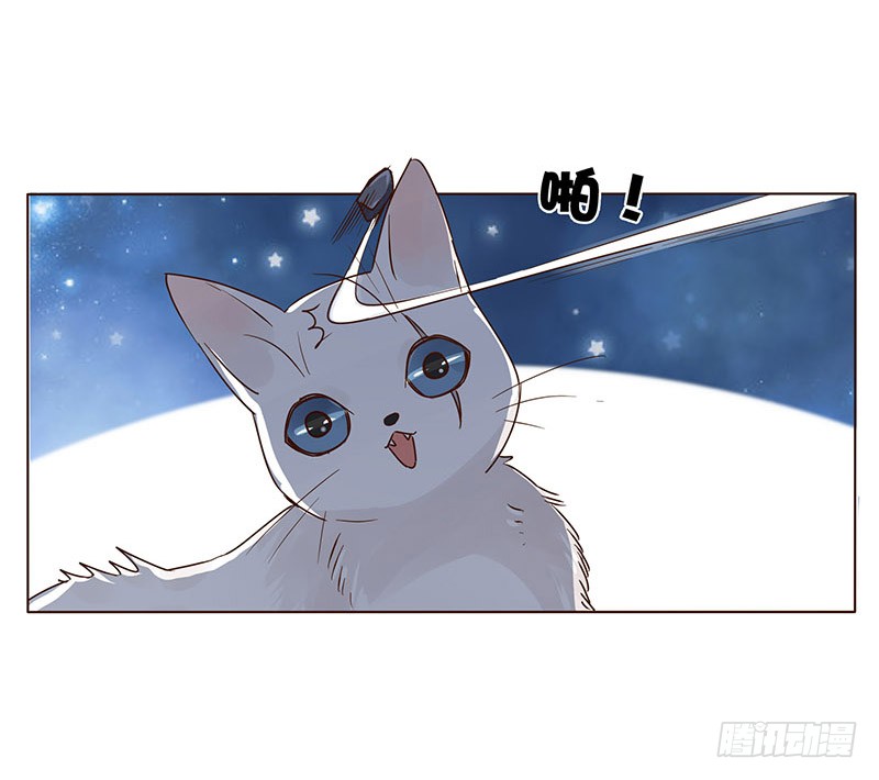 帝王侧韩漫全集-一五二章 冥琪的秘密无删减无遮挡章节图片 