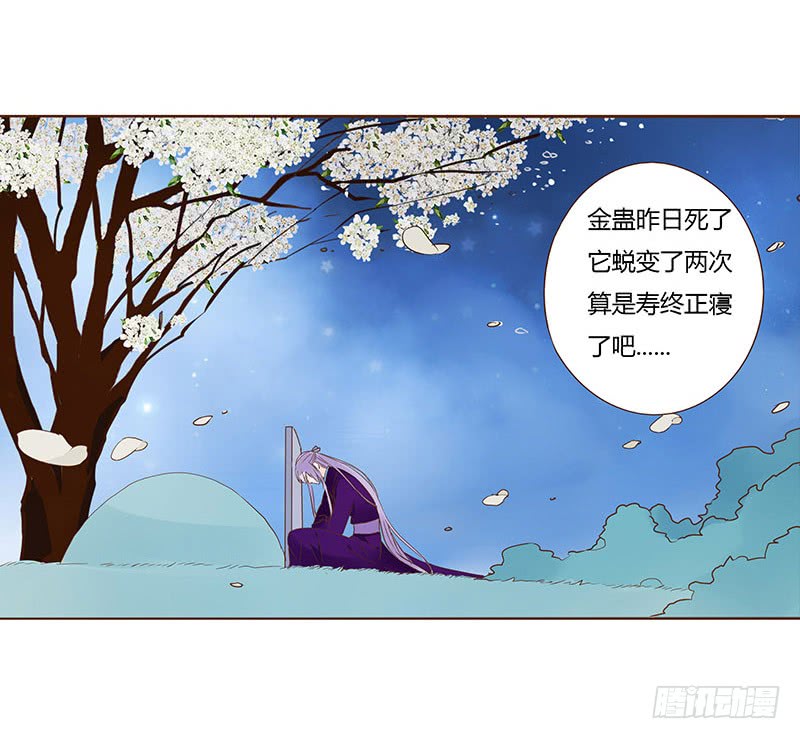 帝王侧韩漫全集-一零六章 傻瓜无删减无遮挡章节图片 