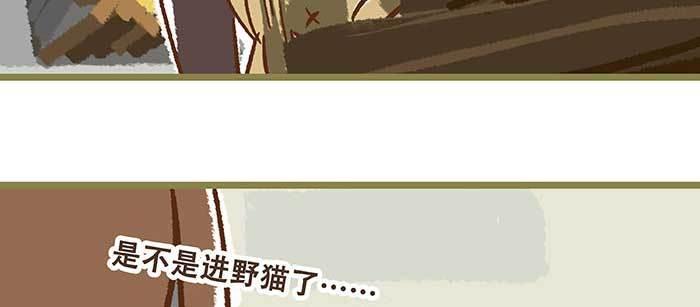 东邻西厢韩漫全集-特别番外 狐狸？陈老板！无删减无遮挡章节图片 