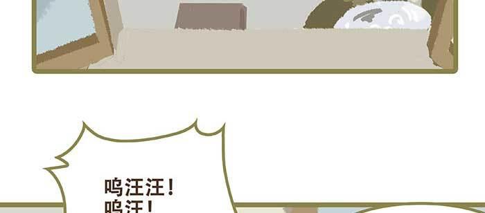 东邻西厢韩漫全集-特别番外 狐狸？陈老板！无删减无遮挡章节图片 