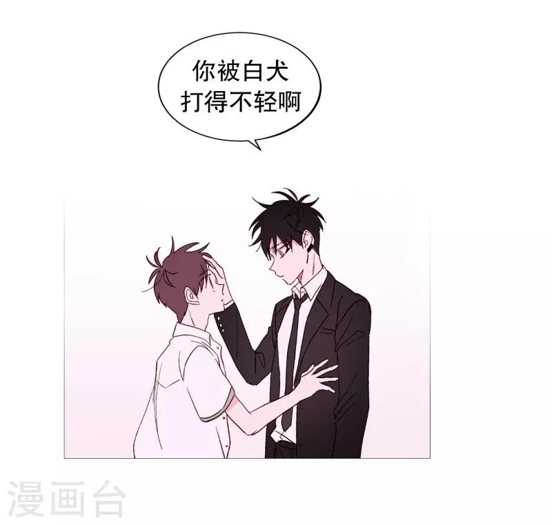 动物灵魂管理局韩漫全集-第101话 不要轻易死掉无删减无遮挡章节图片 