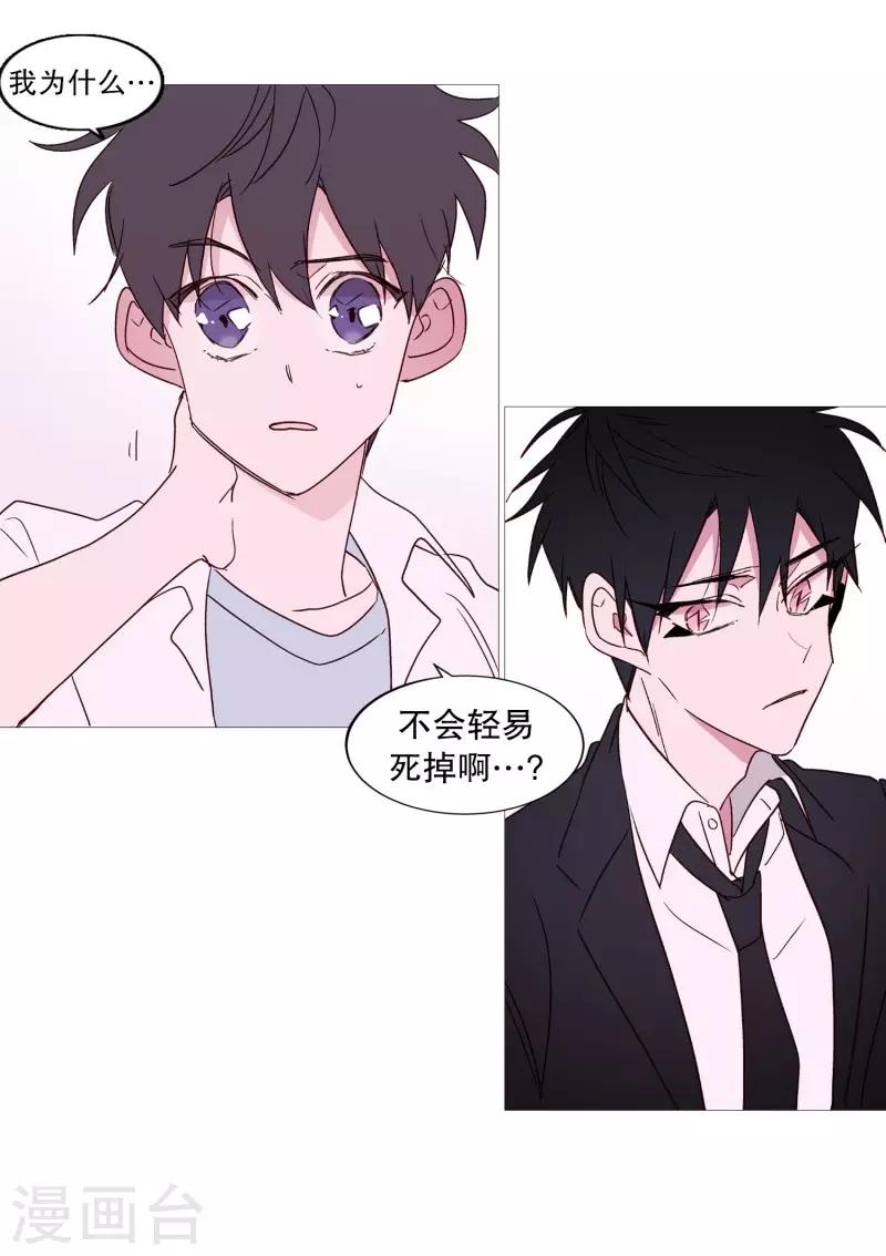动物灵魂管理局韩漫全集-第102话 命中注定无删减无遮挡章节图片 
