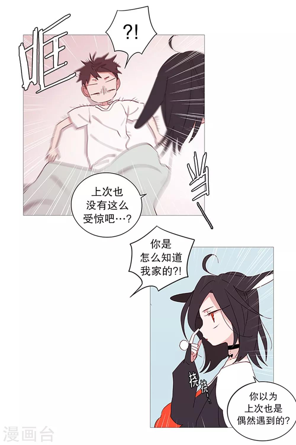 动物灵魂管理局韩漫全集-第12话 咖啡店无删减无遮挡章节图片 